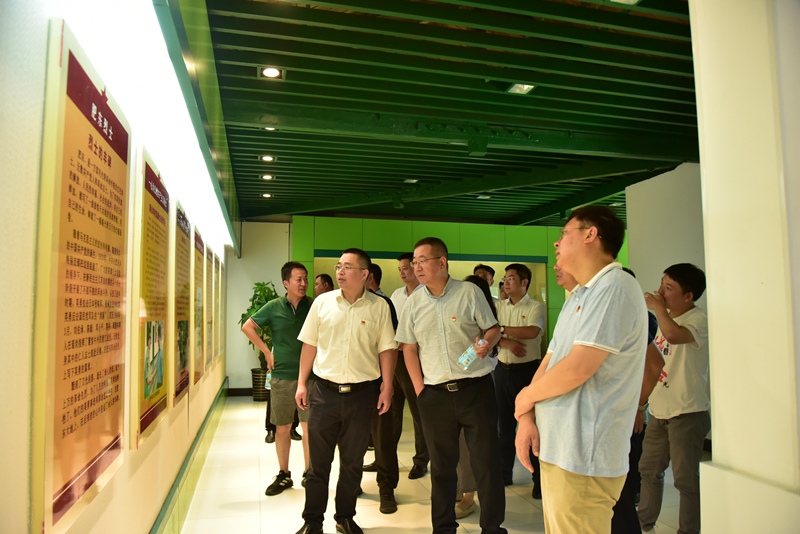 市政分公司黨總支、合肥市重點(diǎn)局直屬黨委第二黨支部聯(lián)合開展主題黨日活動(dòng)3